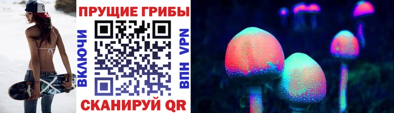 закладки  Краснослободск  Псилоцибиновые грибы ЛСД 